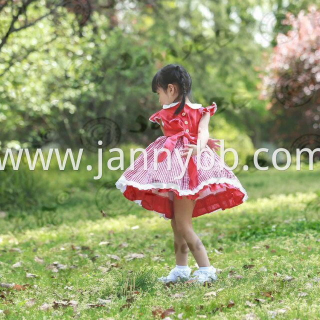 red gingham dress 